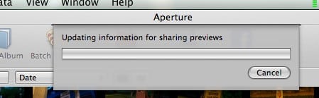 Updating information for sharing previews